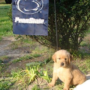 Meet your Posher, Maureen